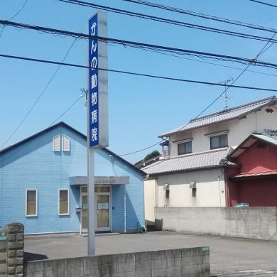 かんの動物病院